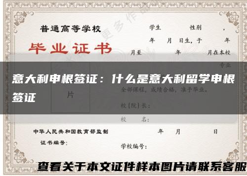 意大利申根签证：什么是意大利留学申根签证缩略图