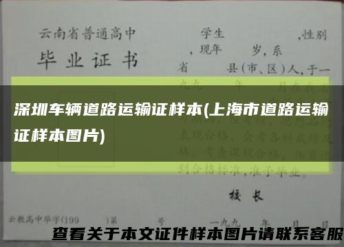 深圳车辆道路运输证样本(上海市道路运输证样本图片)缩略图