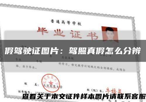 假驾驶证图片：驾照真假怎么分辨缩略图