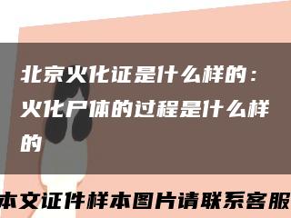 北京火化证是什么样的：火化尸体的过程是什么样的缩略图