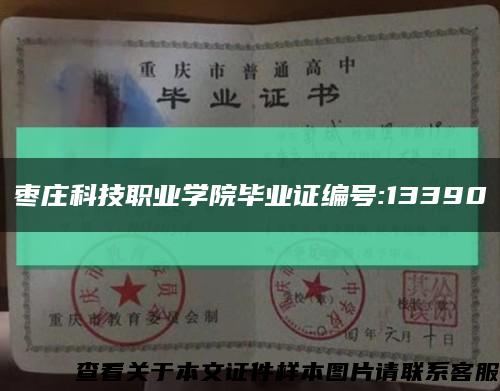 枣庄科技职业学院毕业证编号:13390缩略图