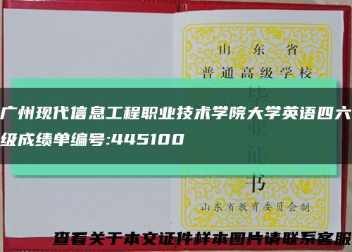 广州现代信息工程职业技术学院大学英语四六级成绩单编号:445100缩略图