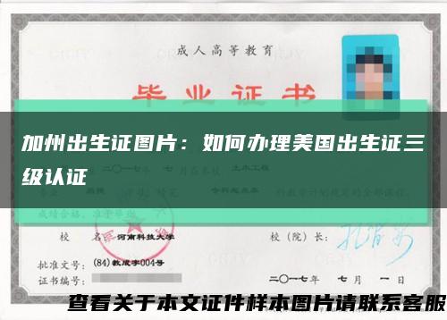 加州出生证图片：如何办理美国出生证三级认证缩略图