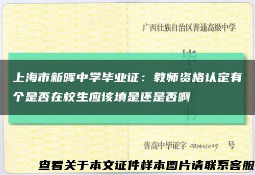上海市新晖中学毕业证：教师资格认定有个是否在校生应该填是还是否啊缩略图