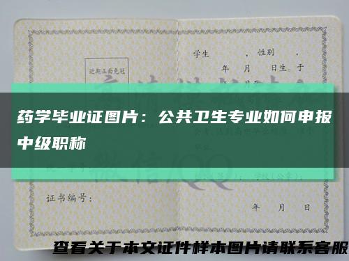 药学毕业证图片：公共卫生专业如何申报中级职称缩略图