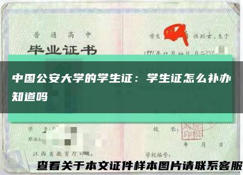 中国公安大学的学生证：学生证怎么补办知道吗缩略图
