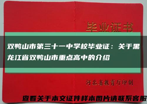 双鸭山市第三十一中学校毕业证：关于黑龙江省双鸭山市重点高中的介绍缩略图
