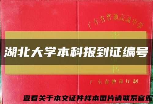 湖北大学本科报到证编号缩略图