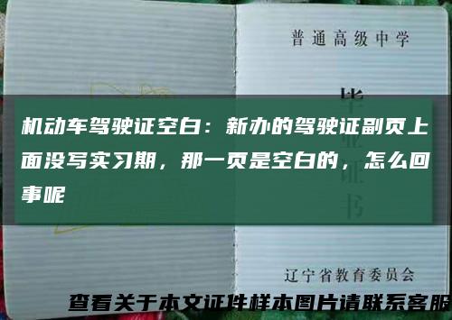 机动车驾驶证空白：新办的驾驶证副页上面没写实习期，那一页是空白的，怎么回事呢缩略图