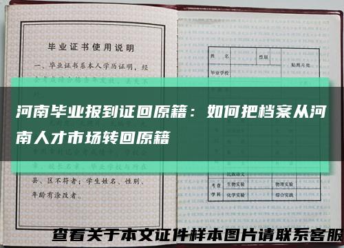 河南毕业报到证回原籍：如何把档案从河南人才市场转回原籍缩略图