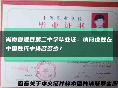 湖南省澧县第二中学毕业证：请问皮姓在中国姓氏中排名多少？缩略图