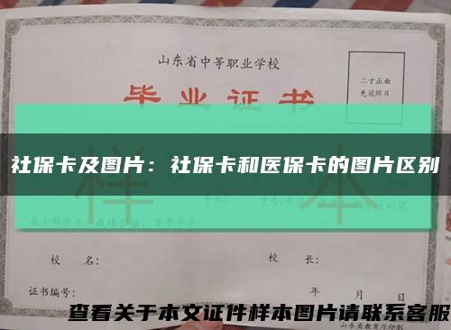 社保卡及图片：社保卡和医保卡的图片区别缩略图