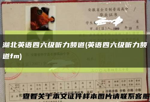 湖北英语四六级听力频道(英语四六级听力频道fm)缩略图