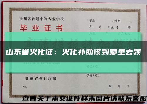 山东省火化证：火化补助该到哪里去领缩略图