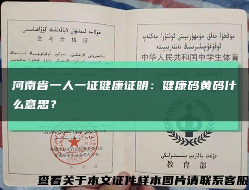 河南省一人一证健康证明：健康码黄码什么意思？缩略图