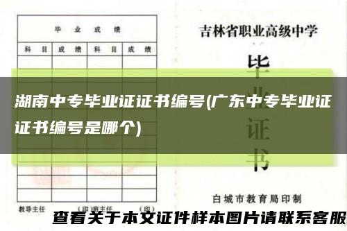 湖南中专毕业证证书编号(广东中专毕业证证书编号是哪个)缩略图