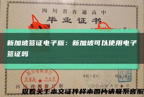 新加坡签证电子版：新加坡可以使用电子签证吗缩略图