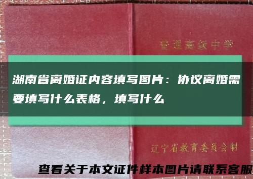 湖南省离婚证内容填写图片：协议离婚需要填写什么表格，填写什么缩略图