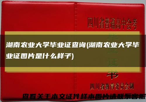 湖南农业大学毕业证查询(湖南农业大学毕业证图片是什么样子)缩略图