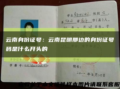 云南身份证号：云南昆明那边的身份证号码是什么开头的缩略图
