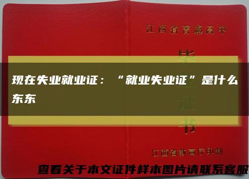 现在失业就业证：“就业失业证”是什么东东缩略图