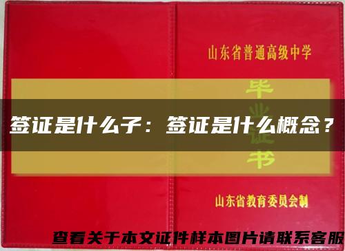 签证是什么子：签证是什么概念？缩略图
