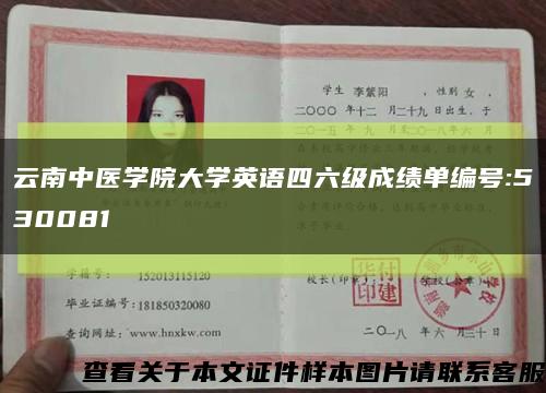 云南中医学院大学英语四六级成绩单编号:530081缩略图