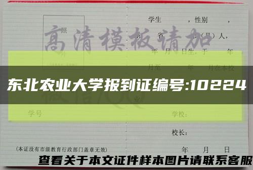 东北农业大学报到证编号:10224缩略图