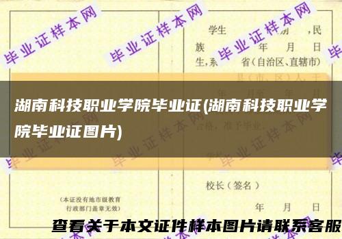湖南科技职业学院毕业证(湖南科技职业学院毕业证图片)缩略图