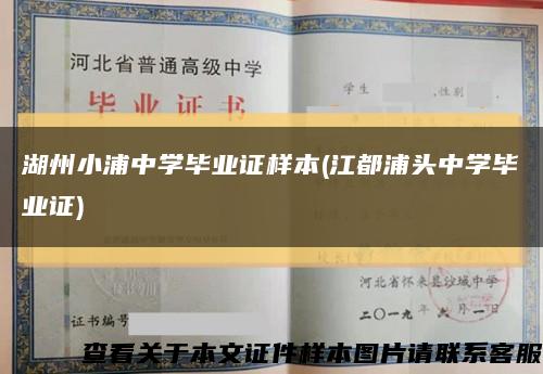 湖州小浦中学毕业证样本(江都浦头中学毕业证)缩略图