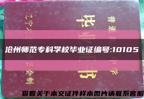 沧州师范专科学校毕业证编号:10105缩略图