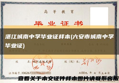 湛江城南中学毕业证样本(六安市城南中学毕业证)缩略图