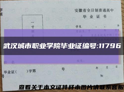 武汉城市职业学院毕业证编号:11796缩略图