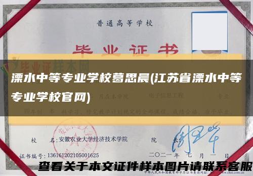 溧水中等专业学校葛思晨(江苏省溧水中等专业学校官网)缩略图