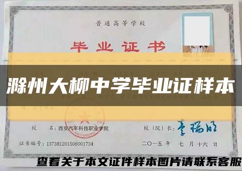 滁州大柳中学毕业证样本缩略图