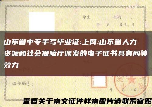 山东省中专手写毕业证:上网:山东省人力资源和社会保障厅颁发的电子证书具有同等效力缩略图