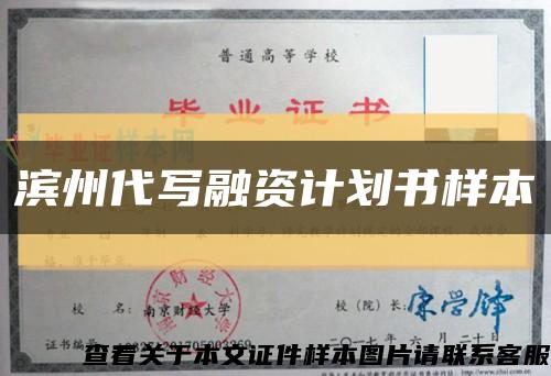 滨州代写融资计划书样本缩略图