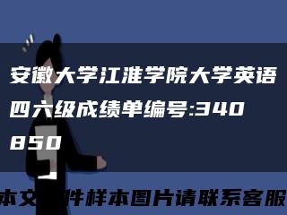 安徽大学江淮学院大学英语四六级成绩单编号:340850缩略图