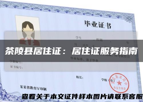 茶陵县居住证：居住证服务指南缩略图