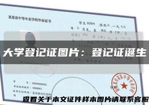 大学登记证图片：登记证诞生缩略图