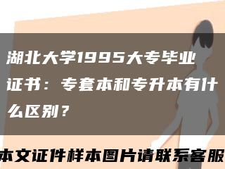 湖北大学1995大专毕业证书：专套本和专升本有什么区别？缩略图