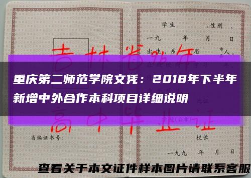 重庆第二师范学院文凭：2018年下半年新增中外合作本科项目详细说明缩略图
