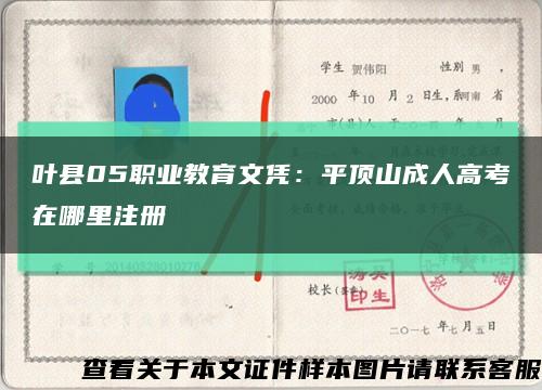 叶县05职业教育文凭：平顶山成人高考在哪里注册缩略图