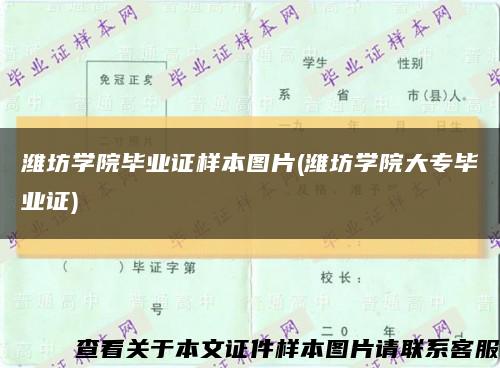 潍坊学院毕业证样本图片(潍坊学院大专毕业证)缩略图