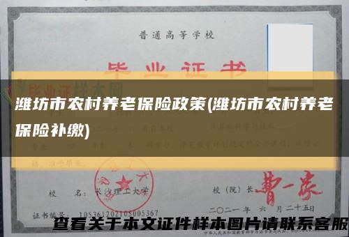 潍坊市农村养老保险政策(潍坊市农村养老保险补缴)缩略图