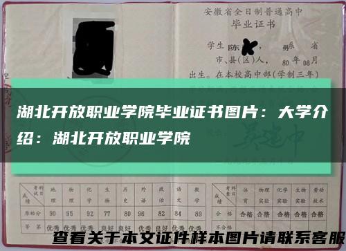 湖北开放职业学院毕业证书图片：大学介绍：湖北开放职业学院缩略图
