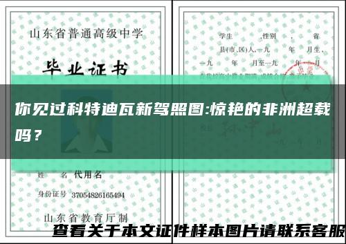 你见过科特迪瓦新驾照图:惊艳的非洲超载吗？缩略图