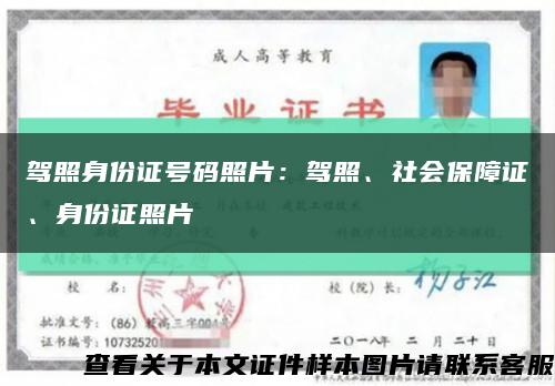驾照身份证号码照片：驾照、社会保障证、身份证照片缩略图