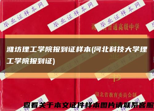 潍坊理工学院报到证样本(河北科技大学理工学院报到证)缩略图