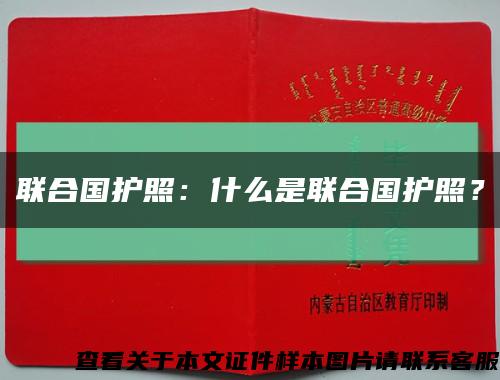 联合国护照：什么是联合国护照？缩略图